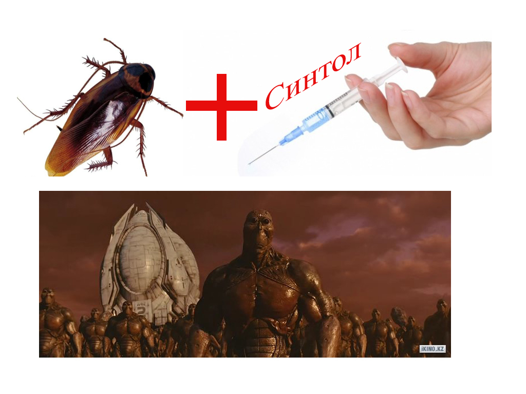 They will avenge - My, Cockroaches, Synthol, , 