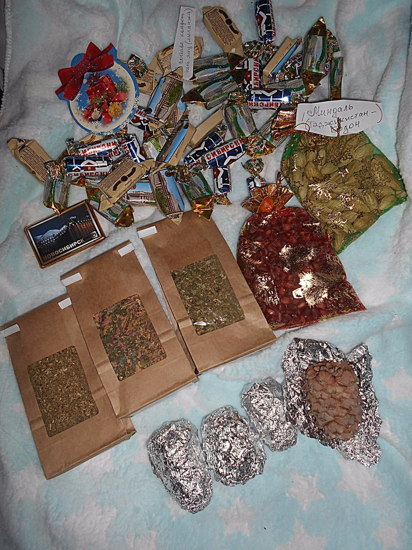 New Year's exchange of gifts. - My, The photo, Gift exchange, Secret Santa, New Year, Animals, Longpost