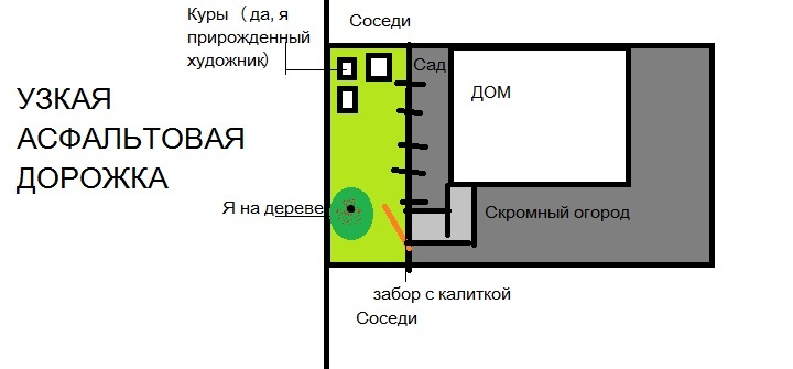 Спасти рядового Курицу или как я застал малолетних воришек врасплох - Моё, История, Текст, Воровство, Наглость, Длиннопост, Кража