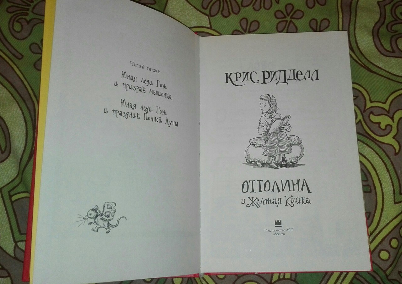 Ottoline and the Yellow Cat book review by Chris Riddell - My, Books, Fantasy, , , Interesting, Overview, Book Review, Longpost