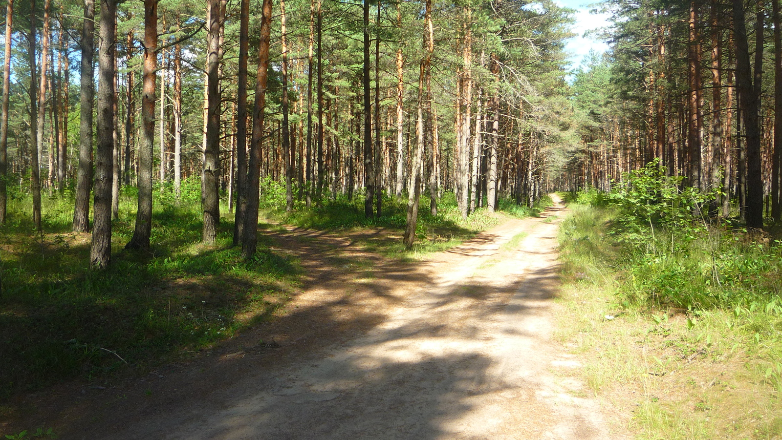 Photo of the past summer. Part 1. - My, Pskov, Pskov region, The photo, Longpost