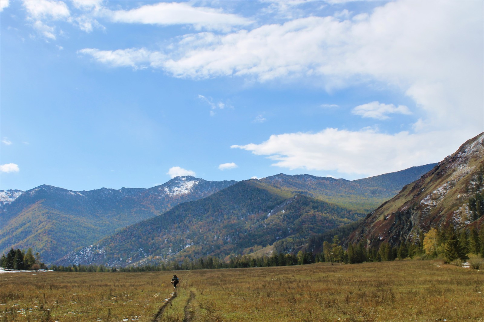 Horses and helicopters. At the foot of Belukha - Part 3 - My, Mountain Altai, Travels, Horseback riding, Helicopter, The photo, Longpost, On a note, The nature of Russia, Altai Republic