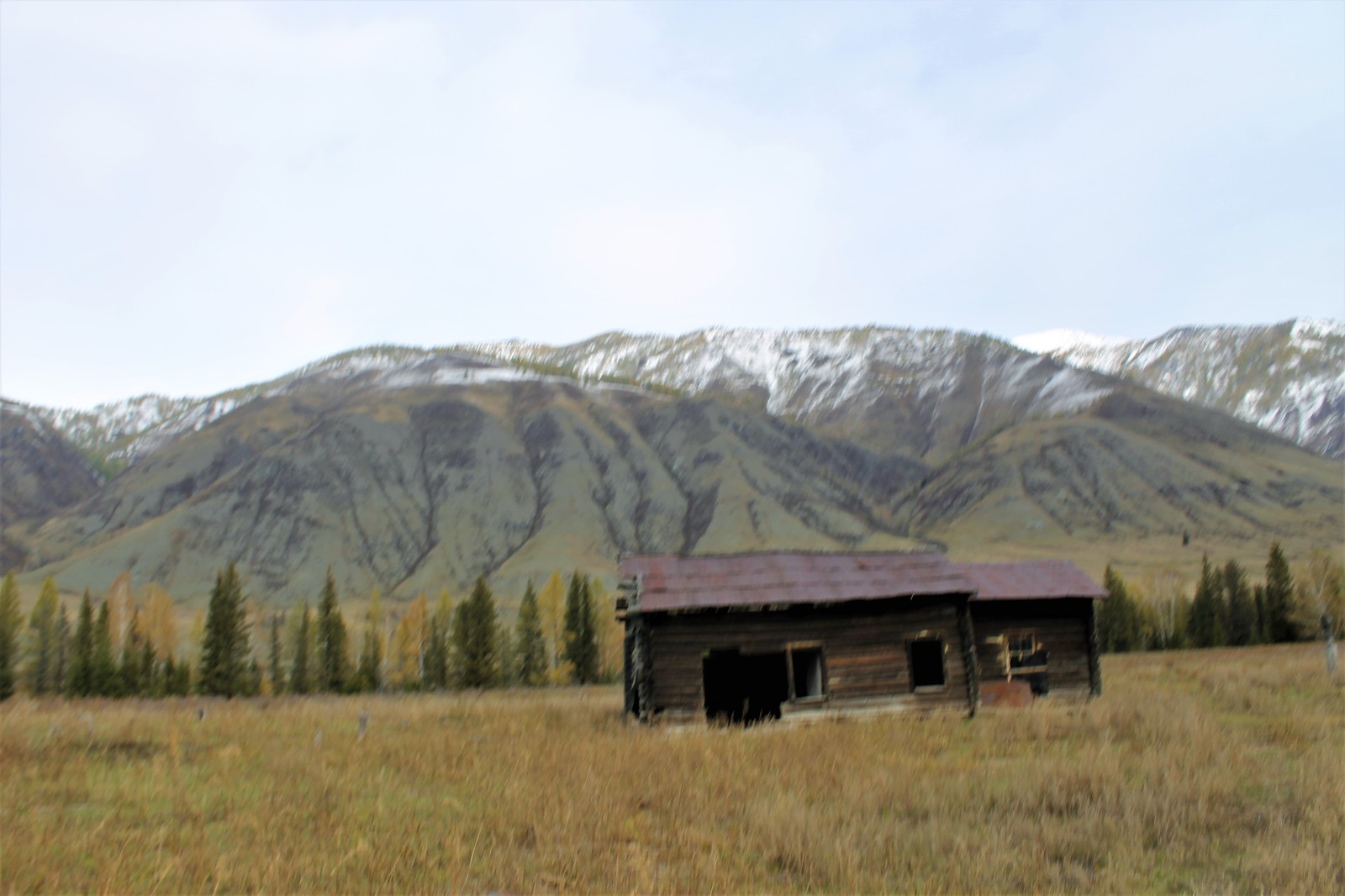 Horses and helicopters. At the foot of Belukha - Part 3 - My, Mountain Altai, Travels, Horseback riding, Helicopter, The photo, Longpost, On a note, The nature of Russia, Altai Republic