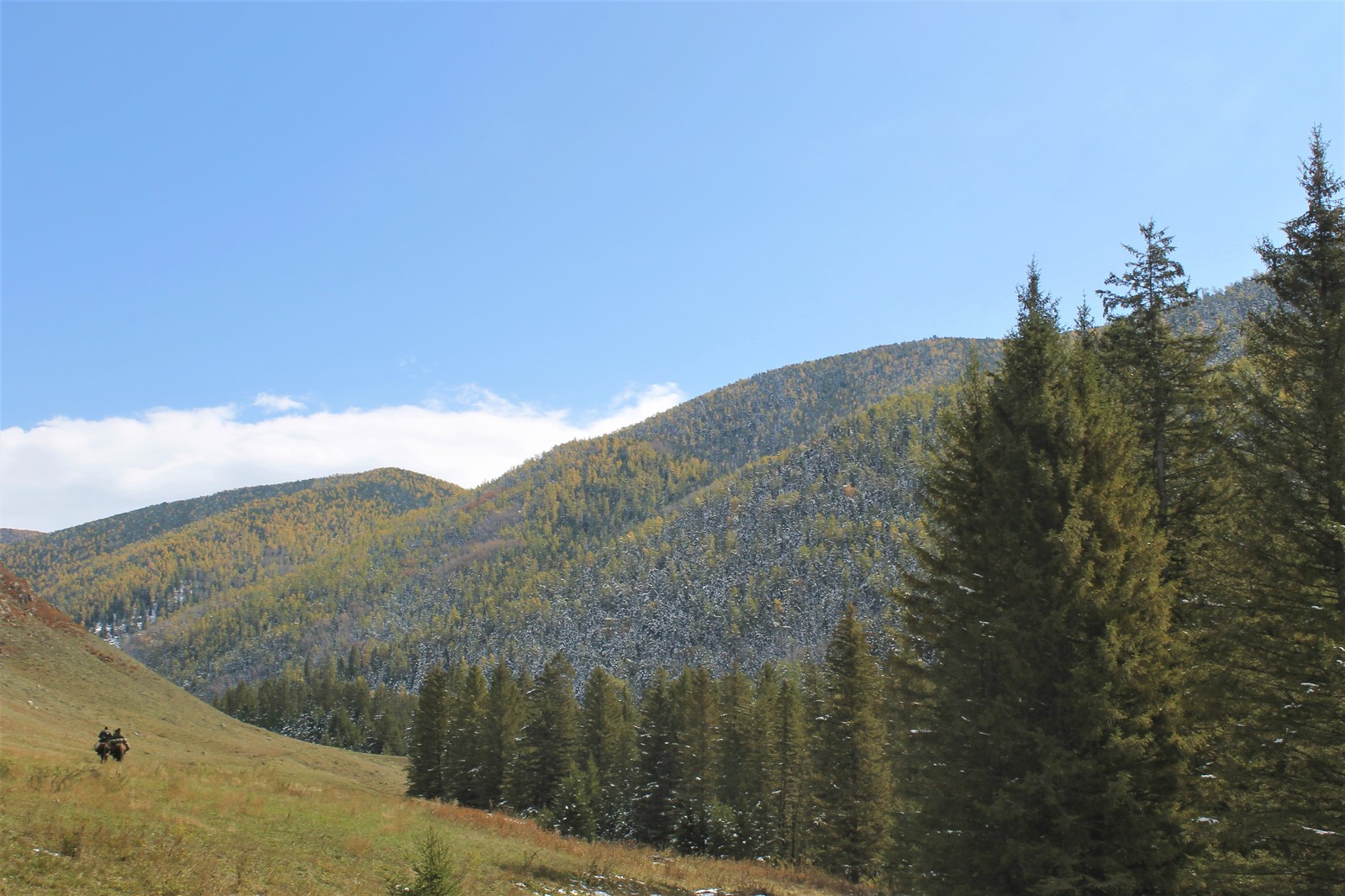 Horses and helicopters. At the foot of Belukha - Part 3 - My, Mountain Altai, Travels, Horseback riding, Helicopter, The photo, Longpost, On a note, The nature of Russia, Altai Republic