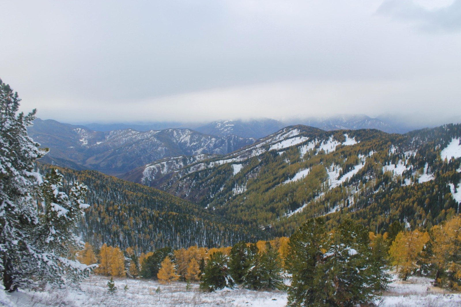 Horses and helicopters. At the foot of Belukha - Part 3 - My, Mountain Altai, Travels, Horseback riding, Helicopter, The photo, Longpost, On a note, The nature of Russia, Altai Republic