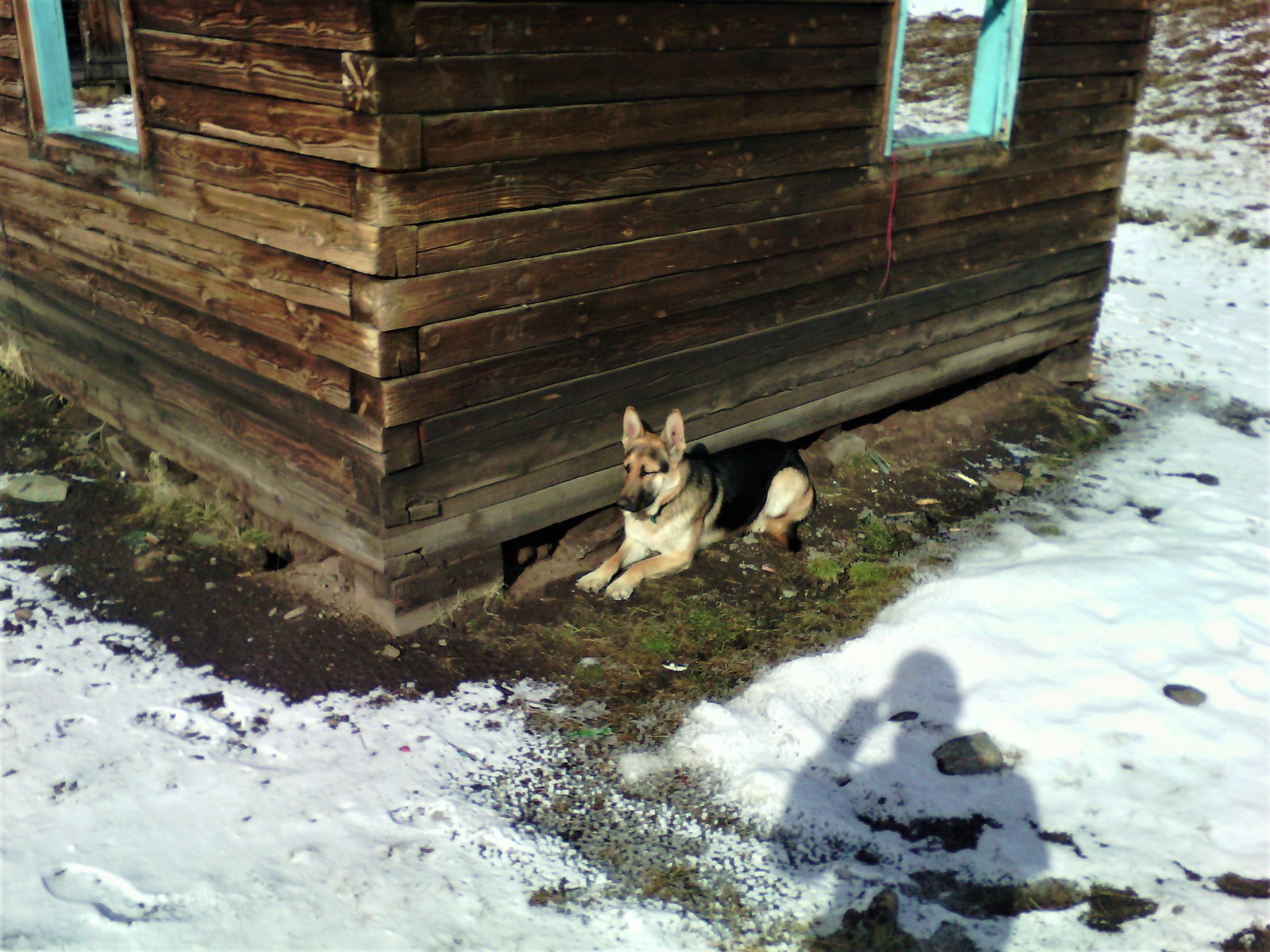 Horses and helicopters. At the foot of Belukha - Part 3 - My, Mountain Altai, Travels, Horseback riding, Helicopter, The photo, Longpost, On a note, The nature of Russia, Altai Republic