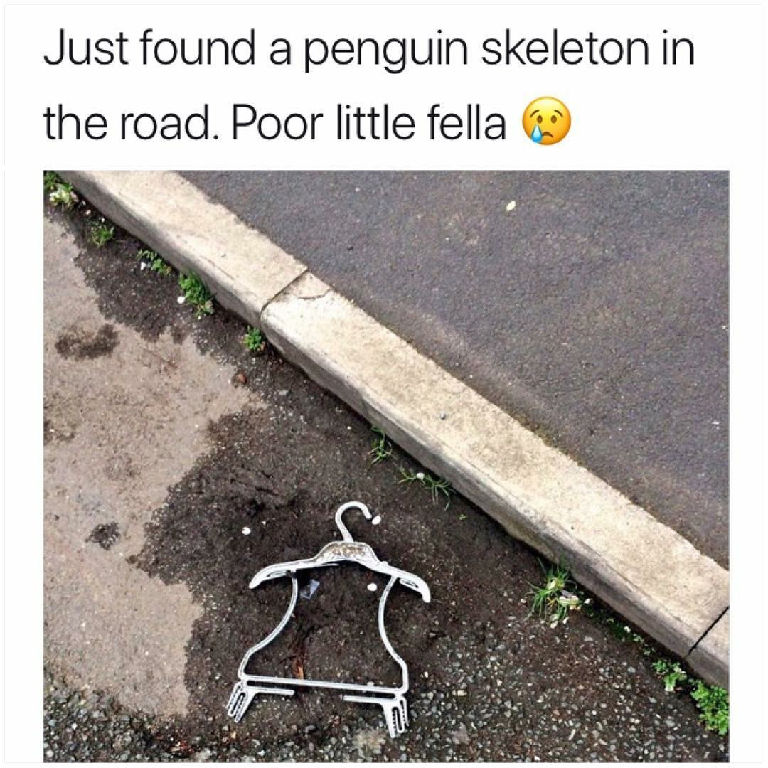 Penguin - Skeleton, Hanger, Penguins