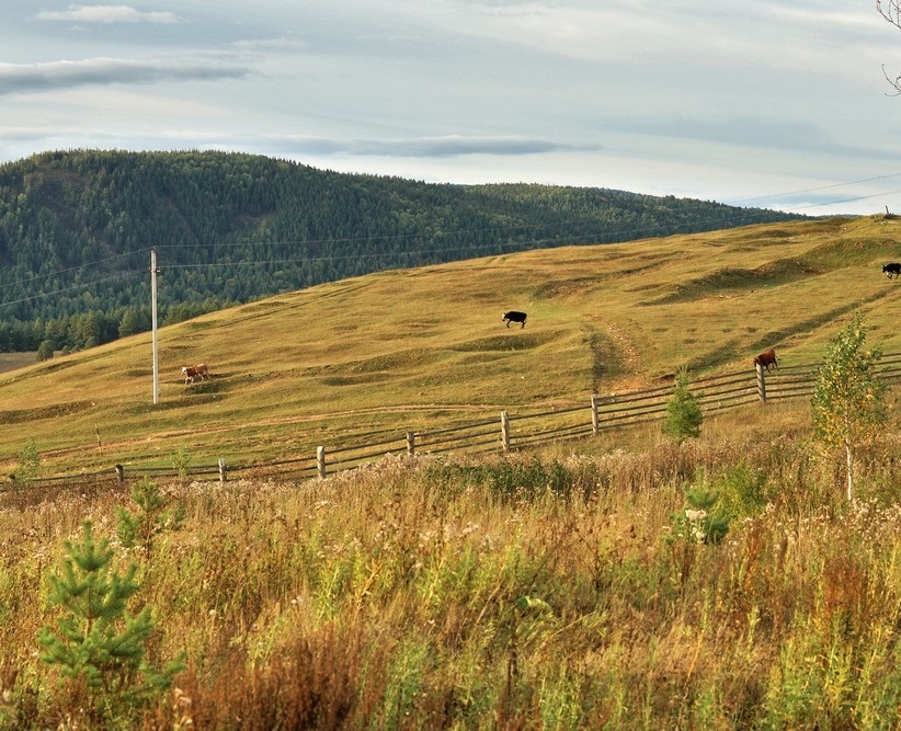 Rural sketches. The village of Kaga, Beloretsky district, Bashkiria - Village, Kaga, A selection, Copy-paste, Longpost, Nature