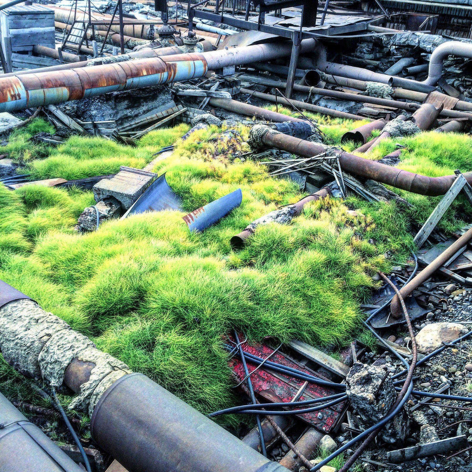 Beautiful Norilsk - My, Norilsk, Norilsk Nickel, Post apocalypse, Longpost