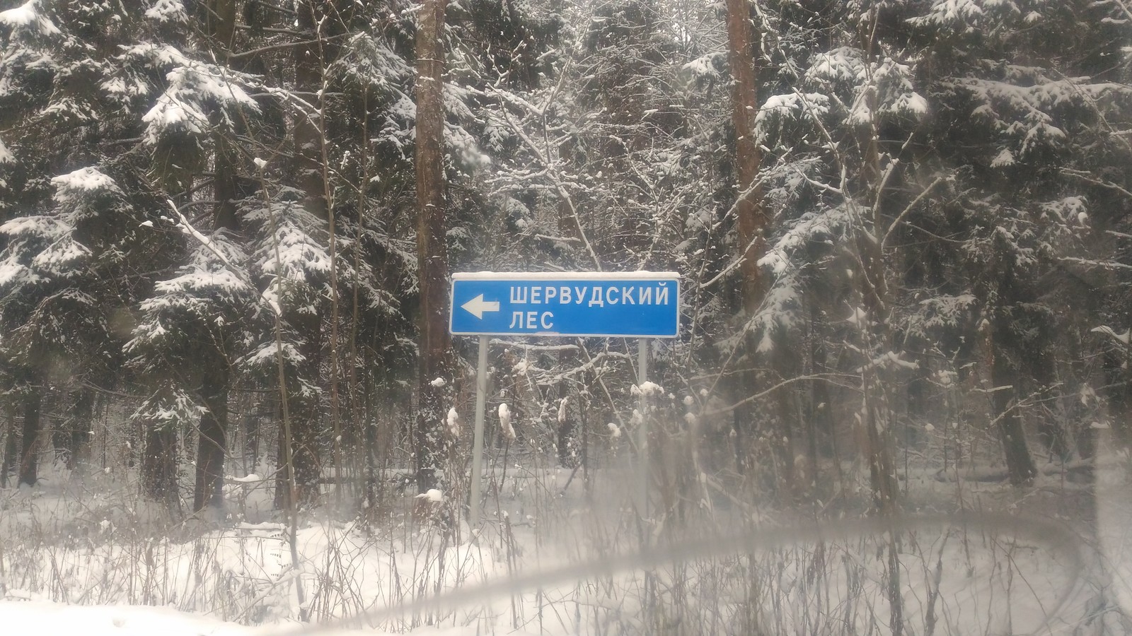 But what if. - My, Sherwood Forest, , Teleportation, Robin the Hood, Подмосковье, Mat