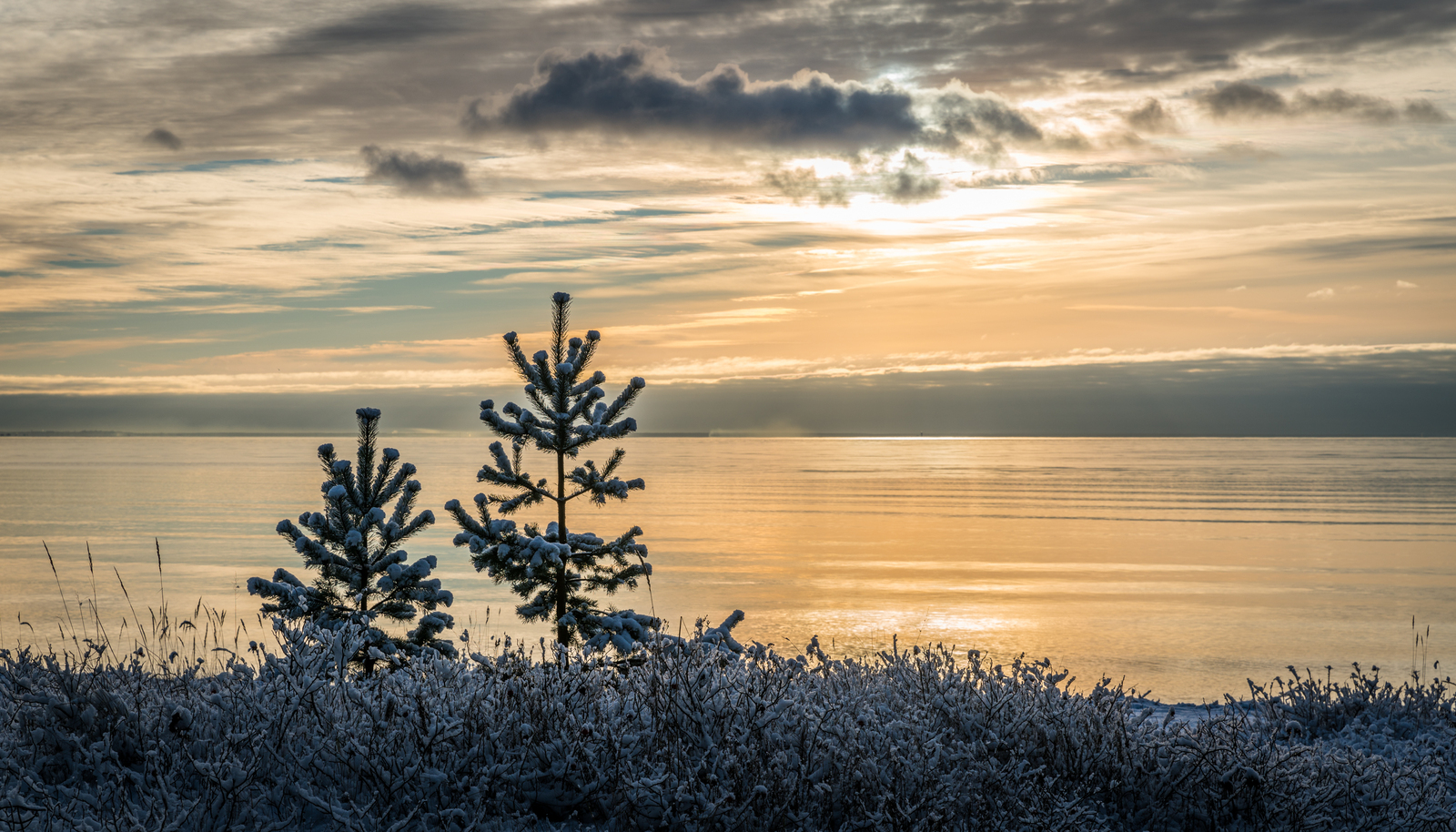 The Gulf of Finland - My, Leningrad region, The Gulf of Finland, Ushkovo, Canon 24-70, Longpost