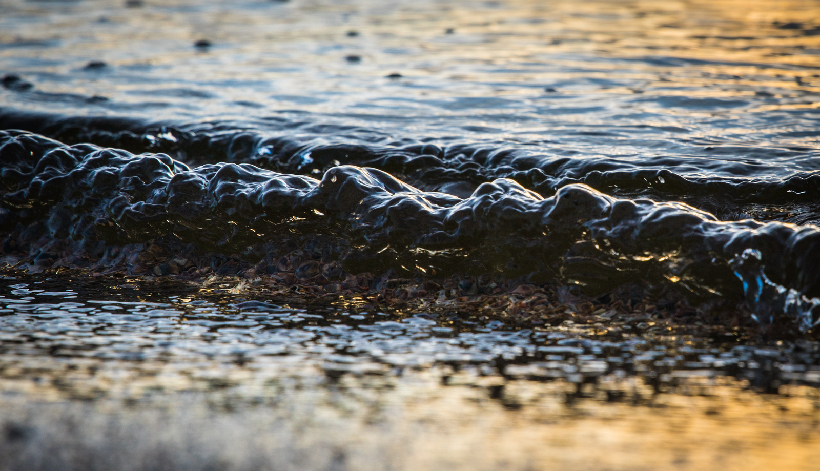 The Gulf of Finland - My, Leningrad region, The Gulf of Finland, Ushkovo, Canon 24-70, Longpost