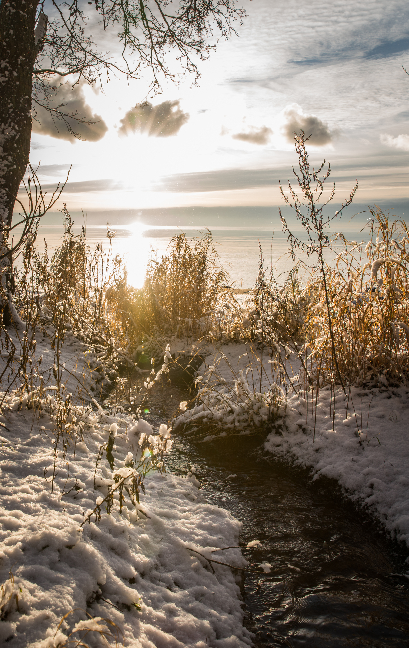 The Gulf of Finland - My, Leningrad region, The Gulf of Finland, Ushkovo, Canon 24-70, Longpost