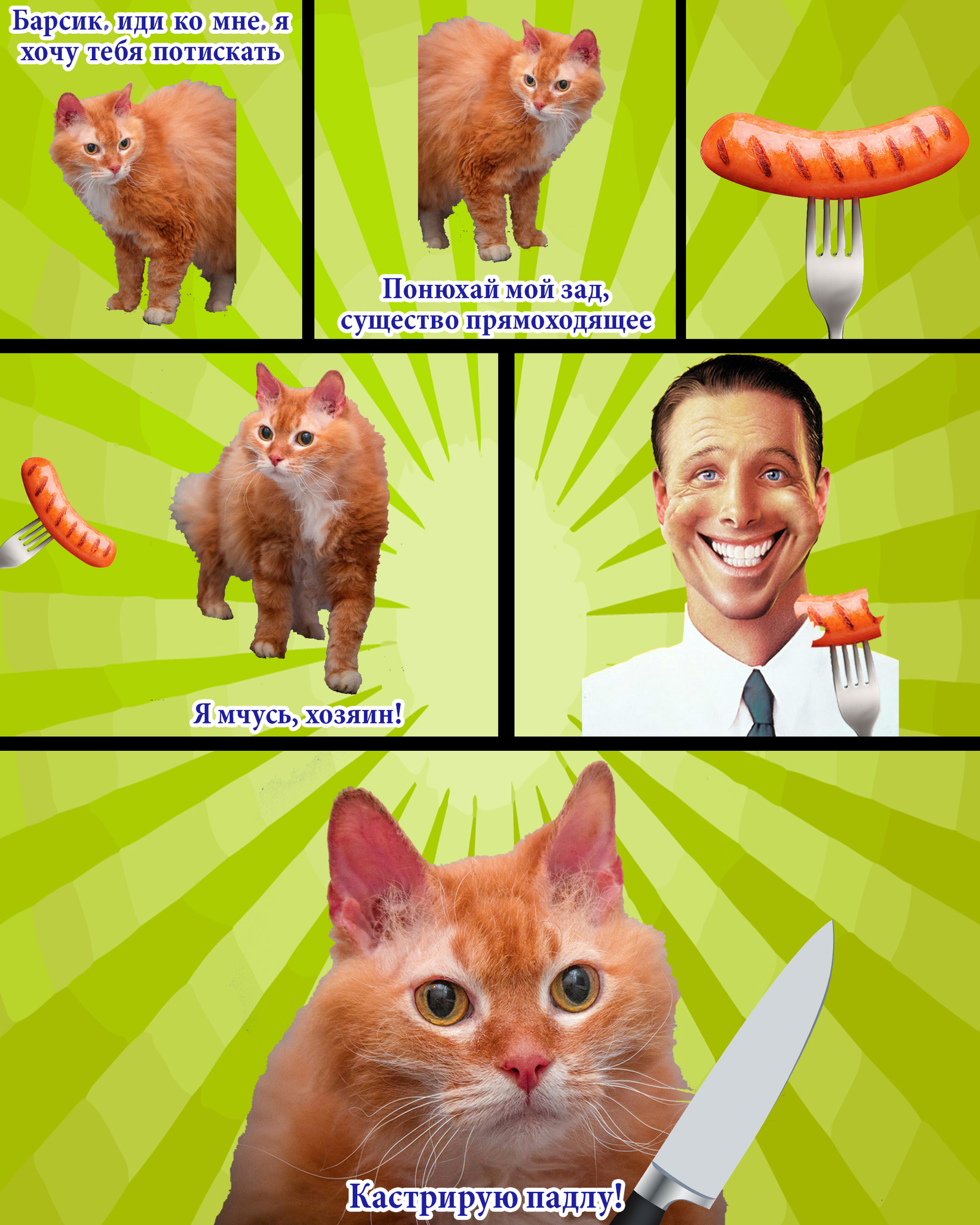 cat's life - My, Catomafia, cat, Castration, , Memes, Sausage in dough