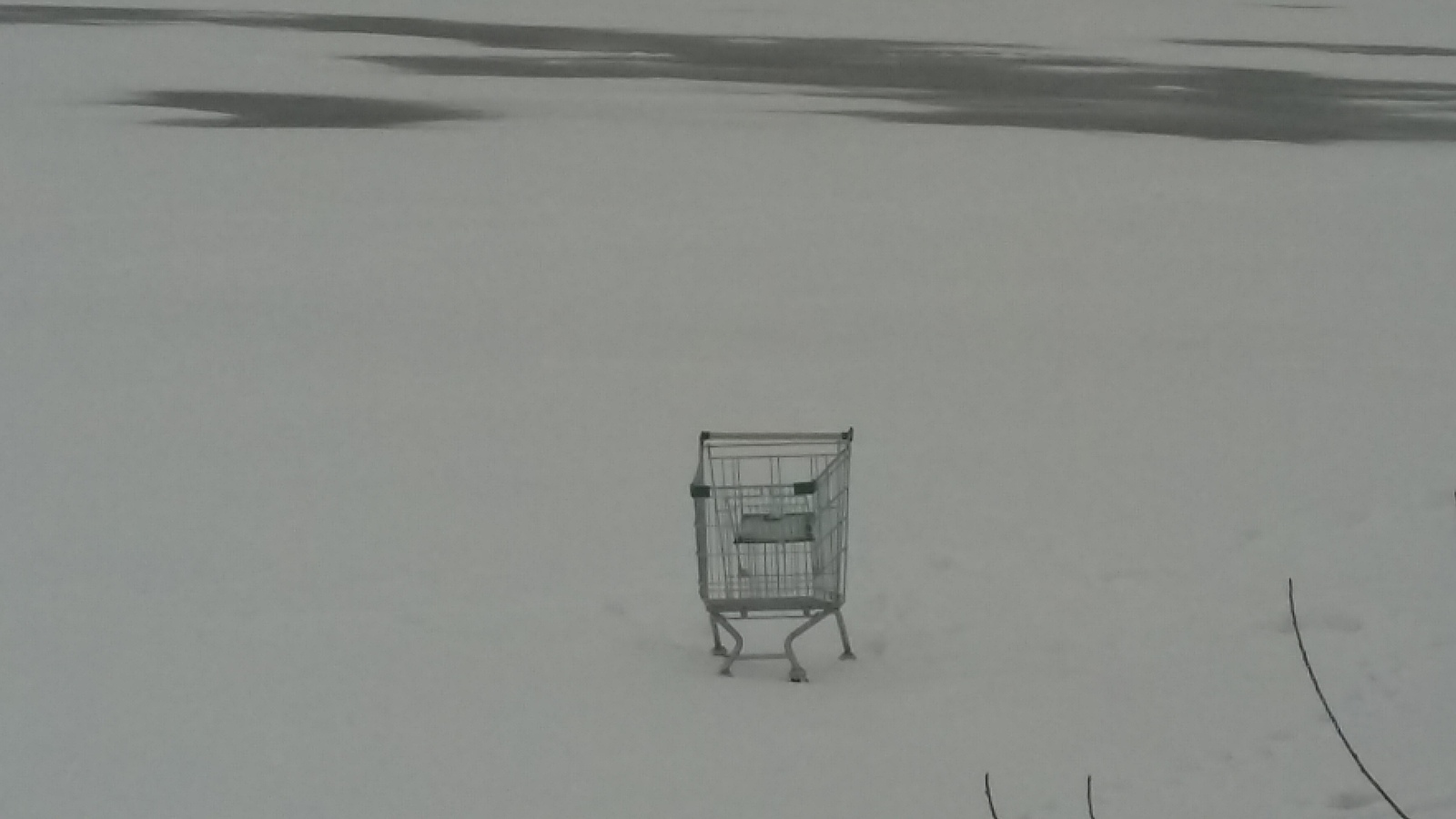 There are morons! - My, Cart, Supermarket