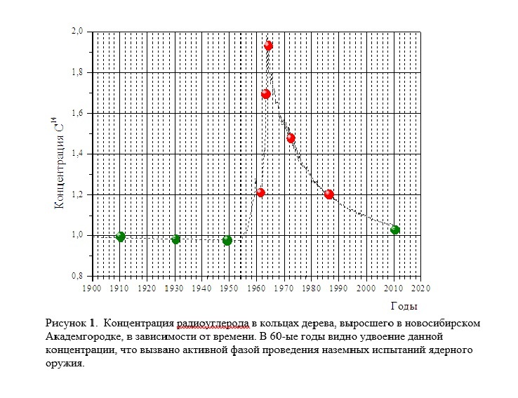 Trees told about man-made pollution of the past - , The science, Ecology, Akademgorodok, Copy-paste, Longpost