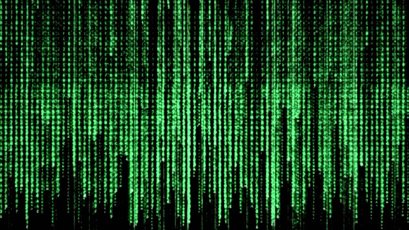 What for? - Matrix, Program, Meaning