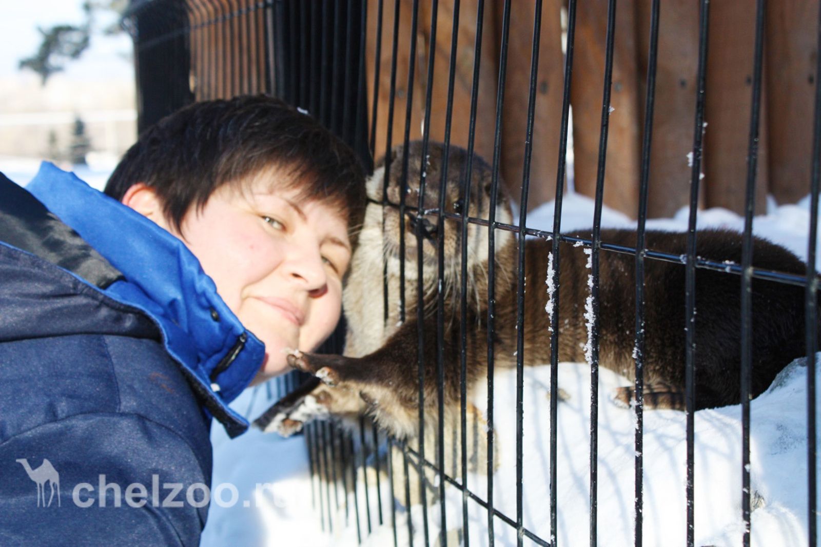 Meet Otter Ivan Luther Vzhik - My, Zoo, Chelyabinsk Zoo, Animals, Video, Otter, , Text, Longpost