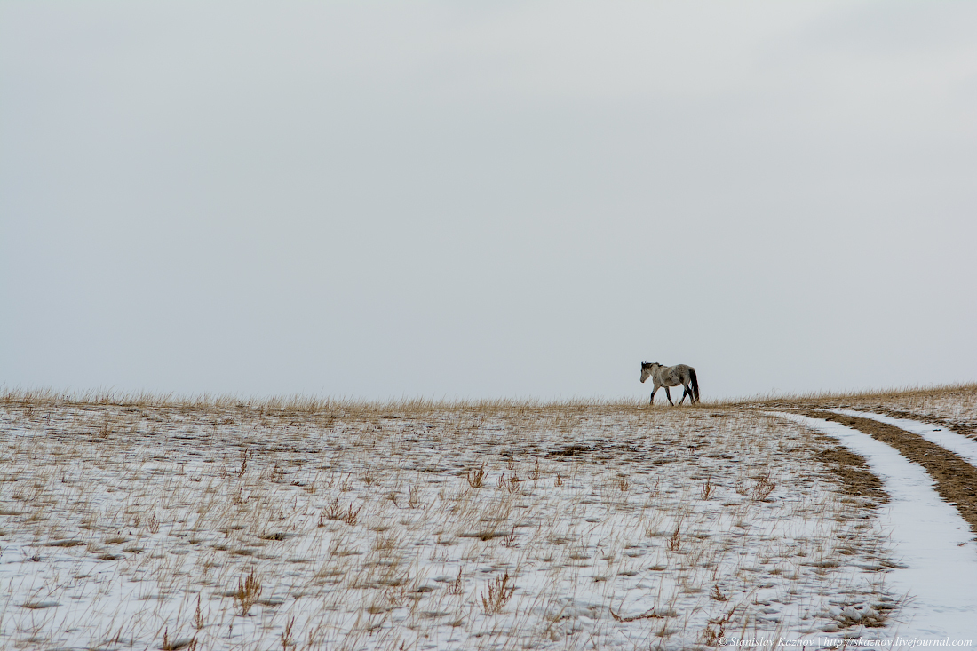 Winter Tale of Baikal (Part 4) - My, Baikal, Olkhon, Irkutsk, Photo tour, Russia, Travels, Ice, Longpost