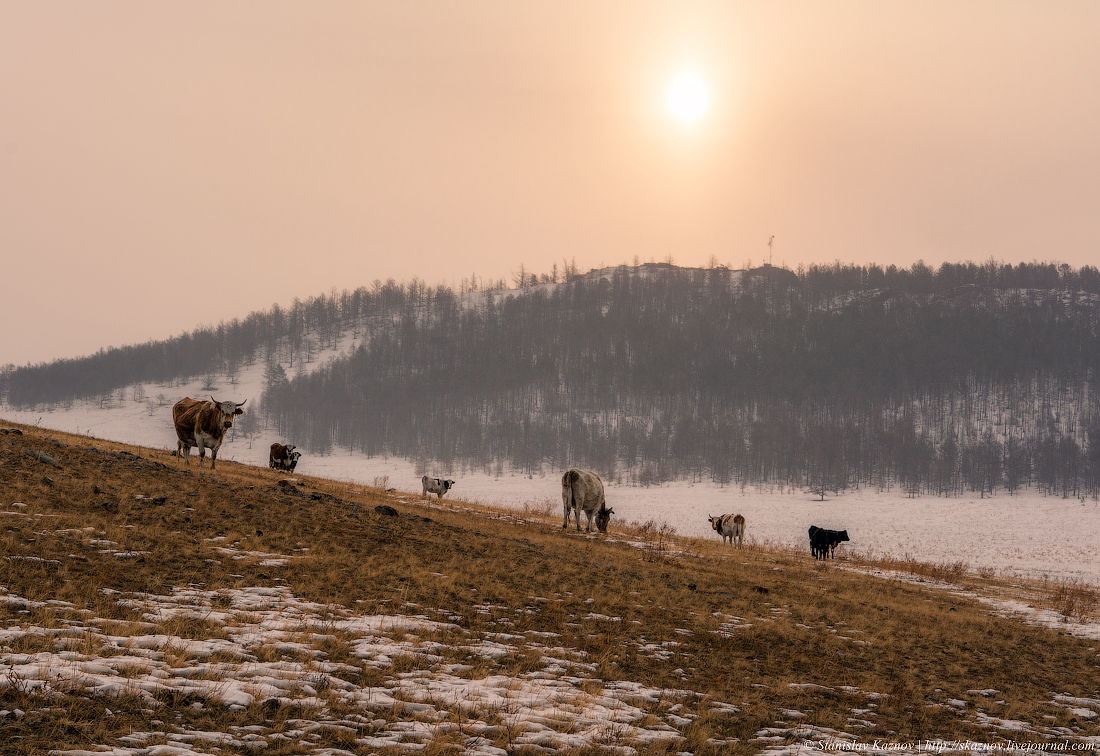 Winter Tale of Baikal (Part 4) - My, Baikal, Olkhon, Irkutsk, Photo tour, Russia, Travels, Ice, Longpost