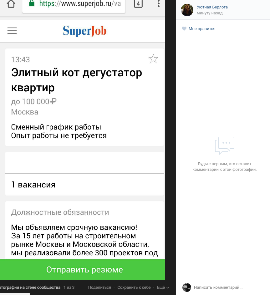 Лучше условия труда, чем у меня - Моё, Работа, Кот, Работа мечты, ВКонтакте, Уютнаяберлога, Длиннопост