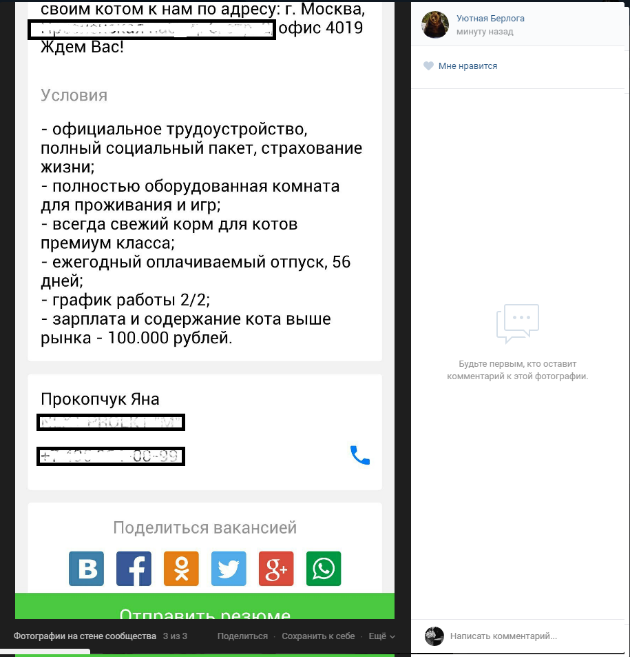 Лучше условия труда, чем у меня - Моё, Работа, Кот, Работа мечты, ВКонтакте, Уютнаяберлога, Длиннопост