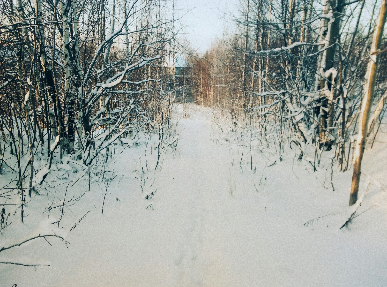 Winter. Everything crunches underfoot... - My, Omutninsk, Kirov region, Cosiness, Winter, Cold, The sun, Snow, Beginning photographer, Longpost