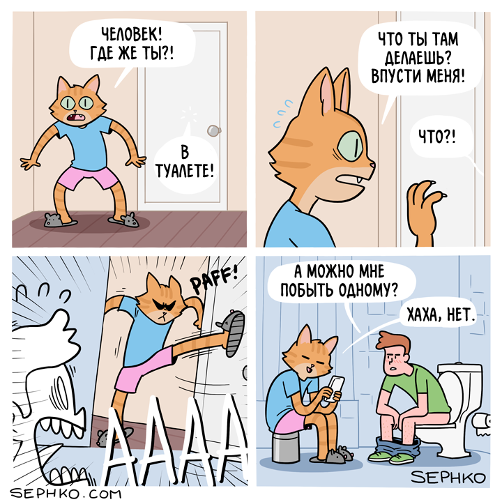 Sly cat - Comics, Sephko, cat