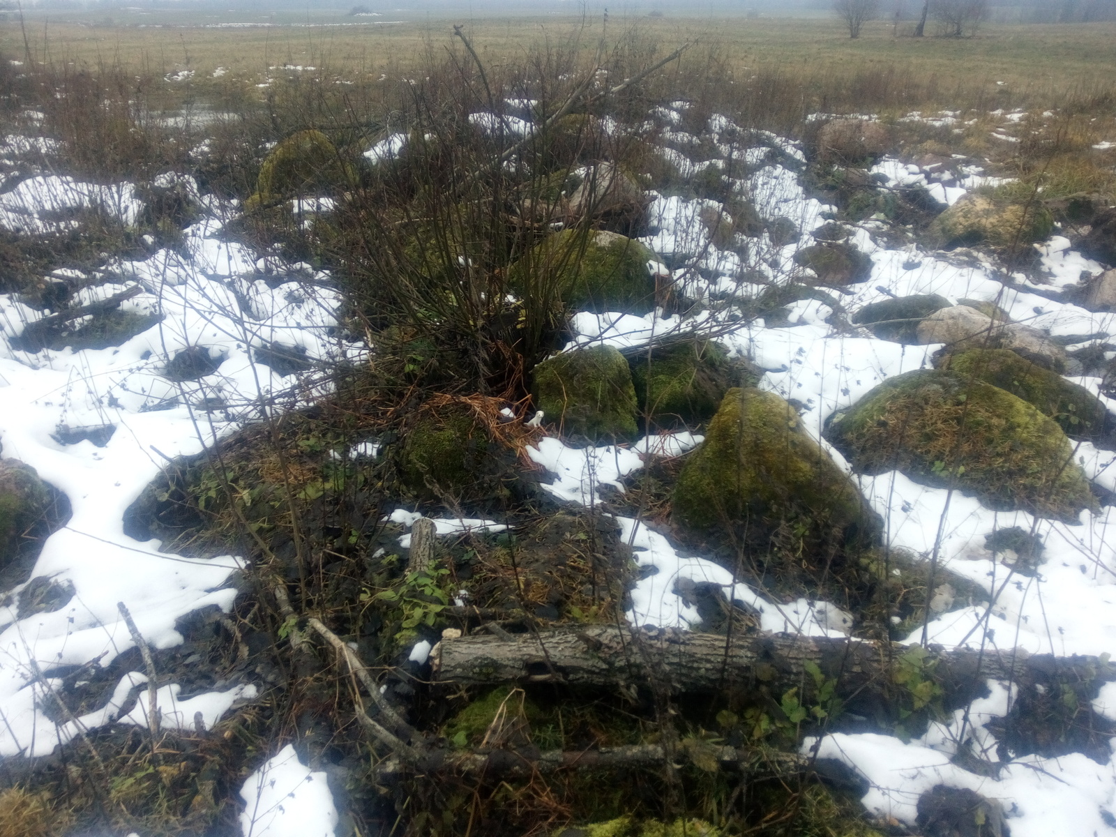 Camouflage Master - My, Republic of Belarus, Power lines, Vitebsk region, The beast, A rock