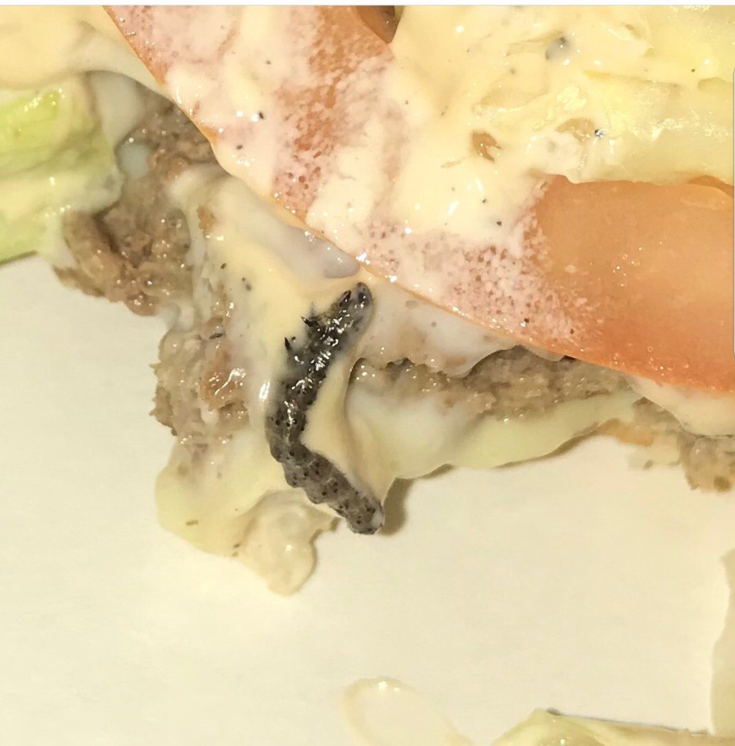 Caterpillar in McDonald's Burger - My, McDonald's, Burger, Caterpillar, Unsanitary conditions