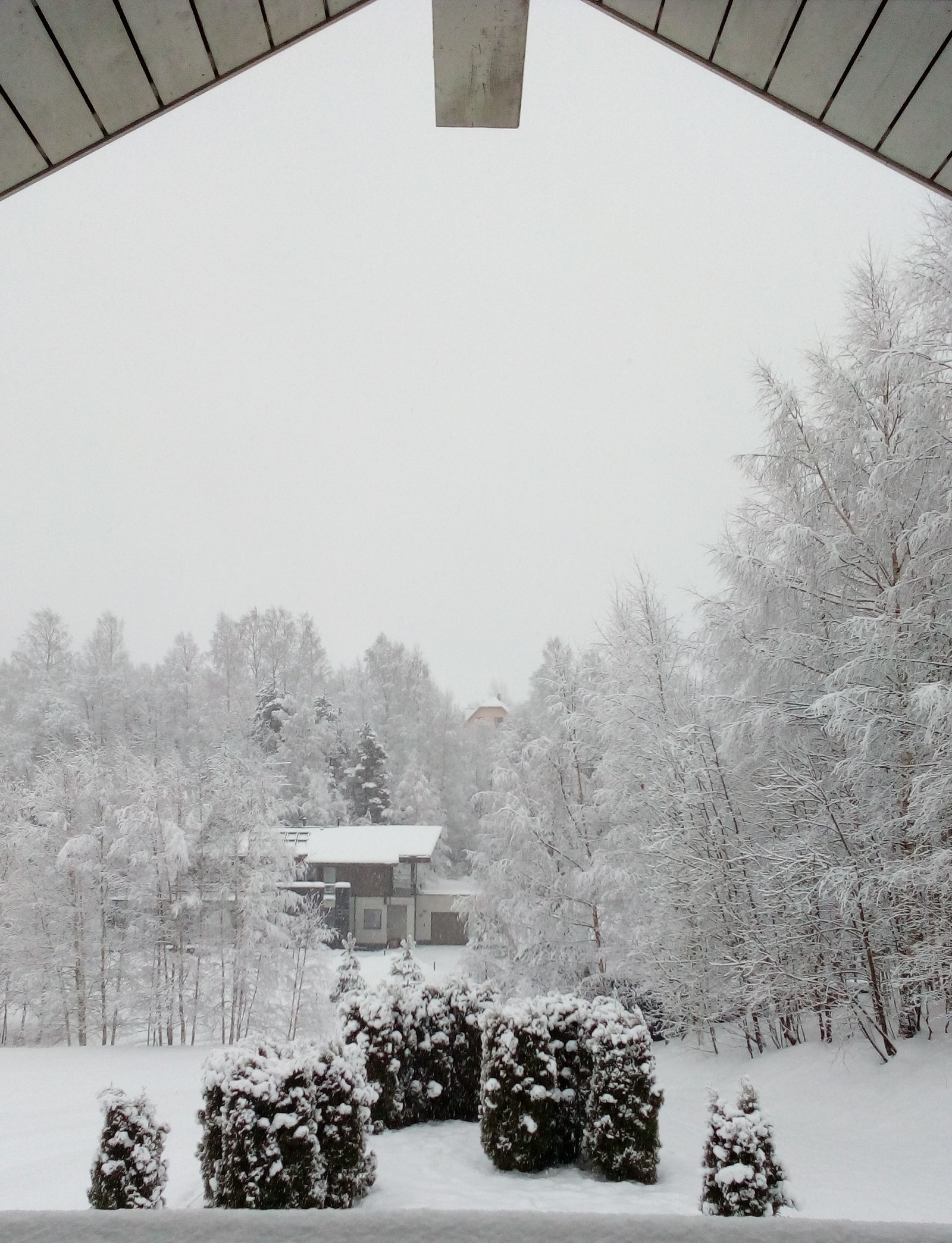 Throwing in beauty - My, beauty, Nature, Snow, Winter