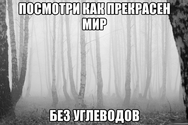 Психология переедания: удовольствие, самолечение и нейрогормоны - Длиннопост, Просто очень длиннопост, Переедание, Дофамин, Серотонин