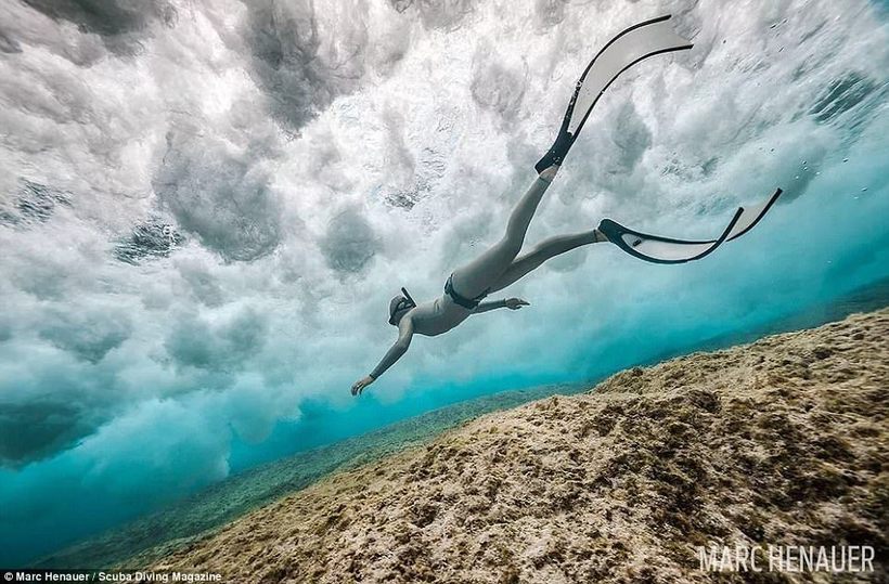 10 Amazing Scuba Diving Magazine Winning Underwater Photography Contest Winners - The photo, Diving, Longpost