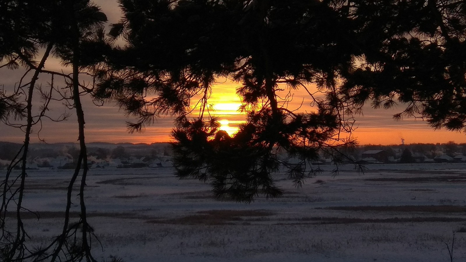 Perm Territory, environs of the city of Kudymkar. - My, Winter, Forest, The sun, Beginning photographer, Photo on sneaker, I want criticism, Perm Territory, Longpost