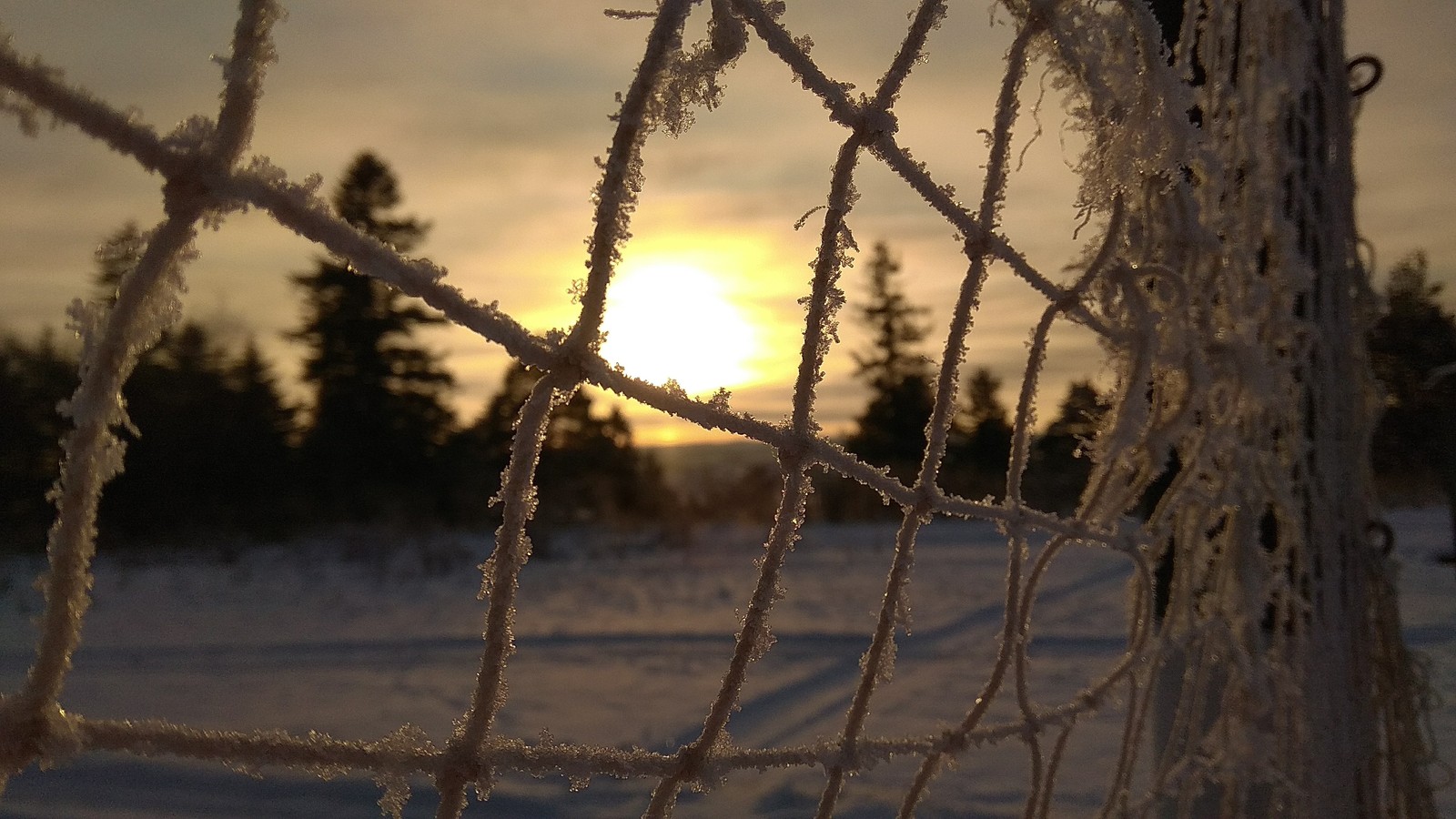 Perm Territory, environs of the city of Kudymkar. - My, Winter, Forest, The sun, Beginning photographer, Photo on sneaker, I want criticism, Perm Territory, Longpost