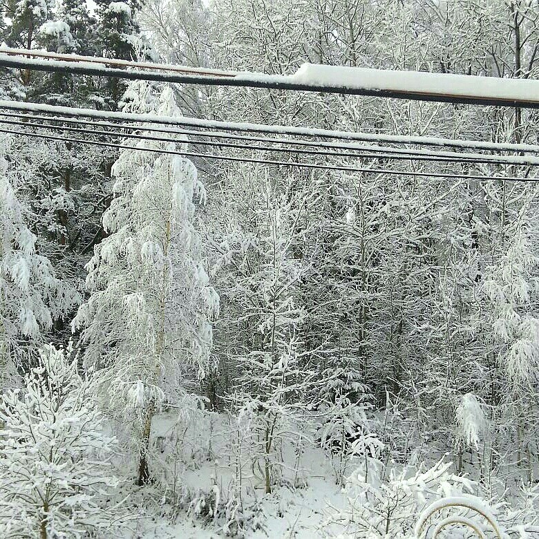 Winter has come? - My, Winter, Snow, Minsk, Grodno, Road