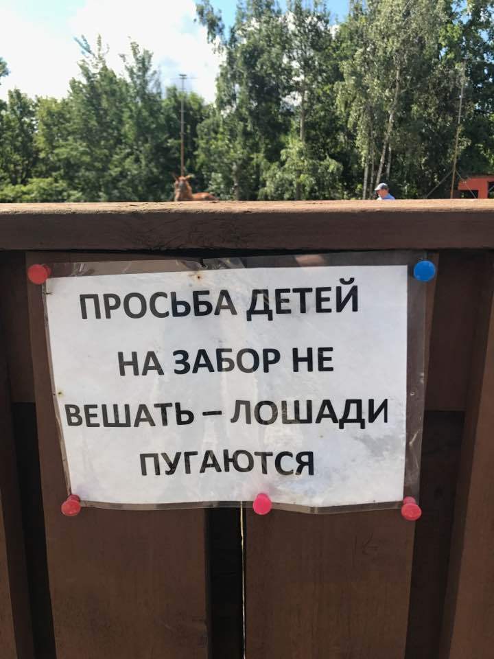прощение детские руки. ребенок плачет тянет руки. ребё нок просит прощения. девочка просит маму. просьбы ребенку.