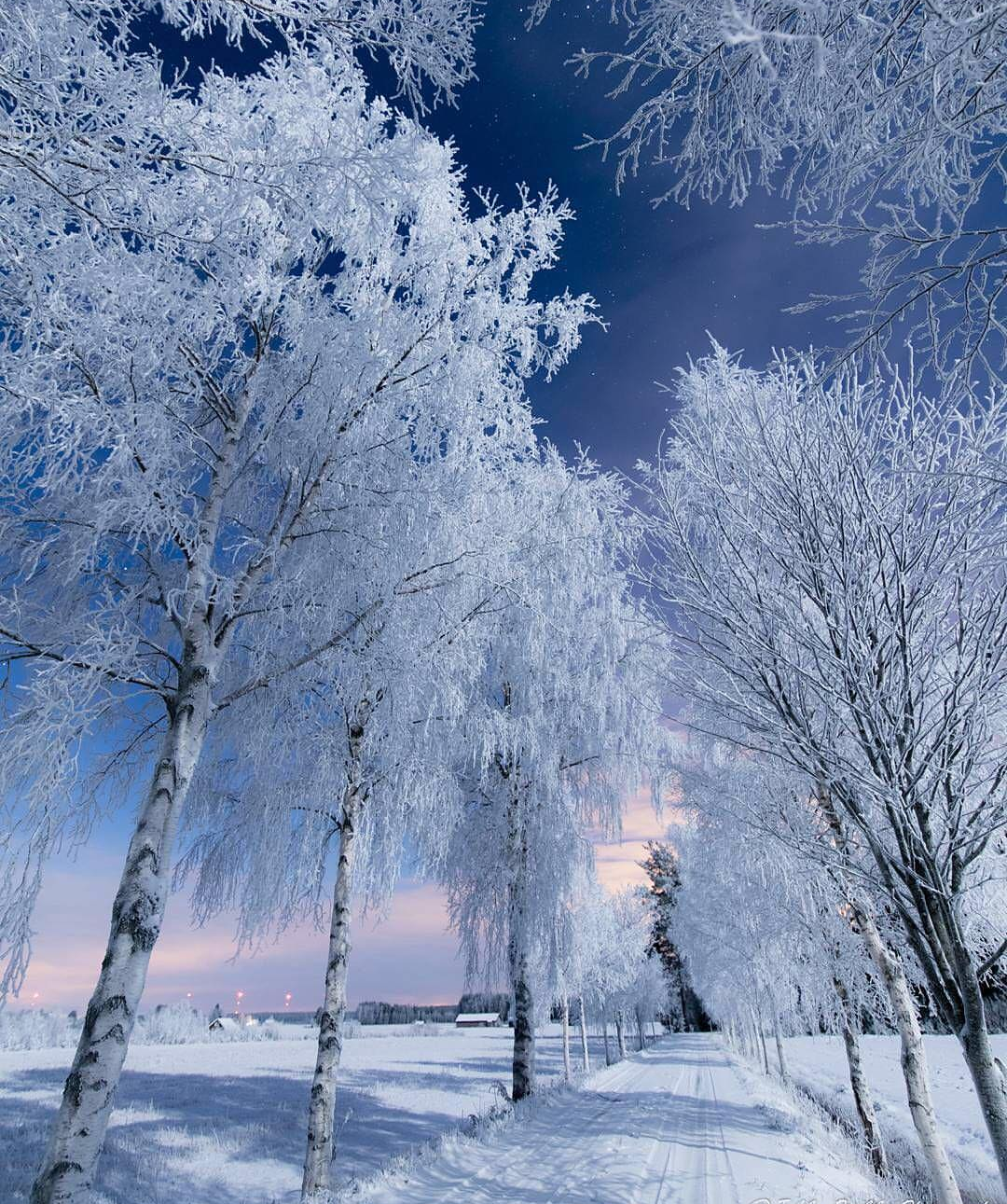 Finland - Nature, Finland, Winter