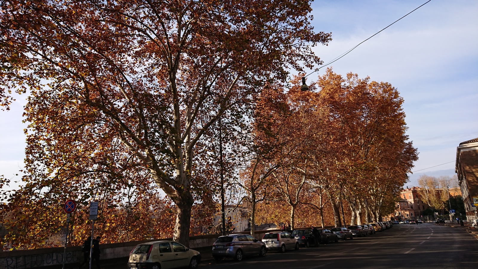 Roman autumn - My, Rome, Autumn