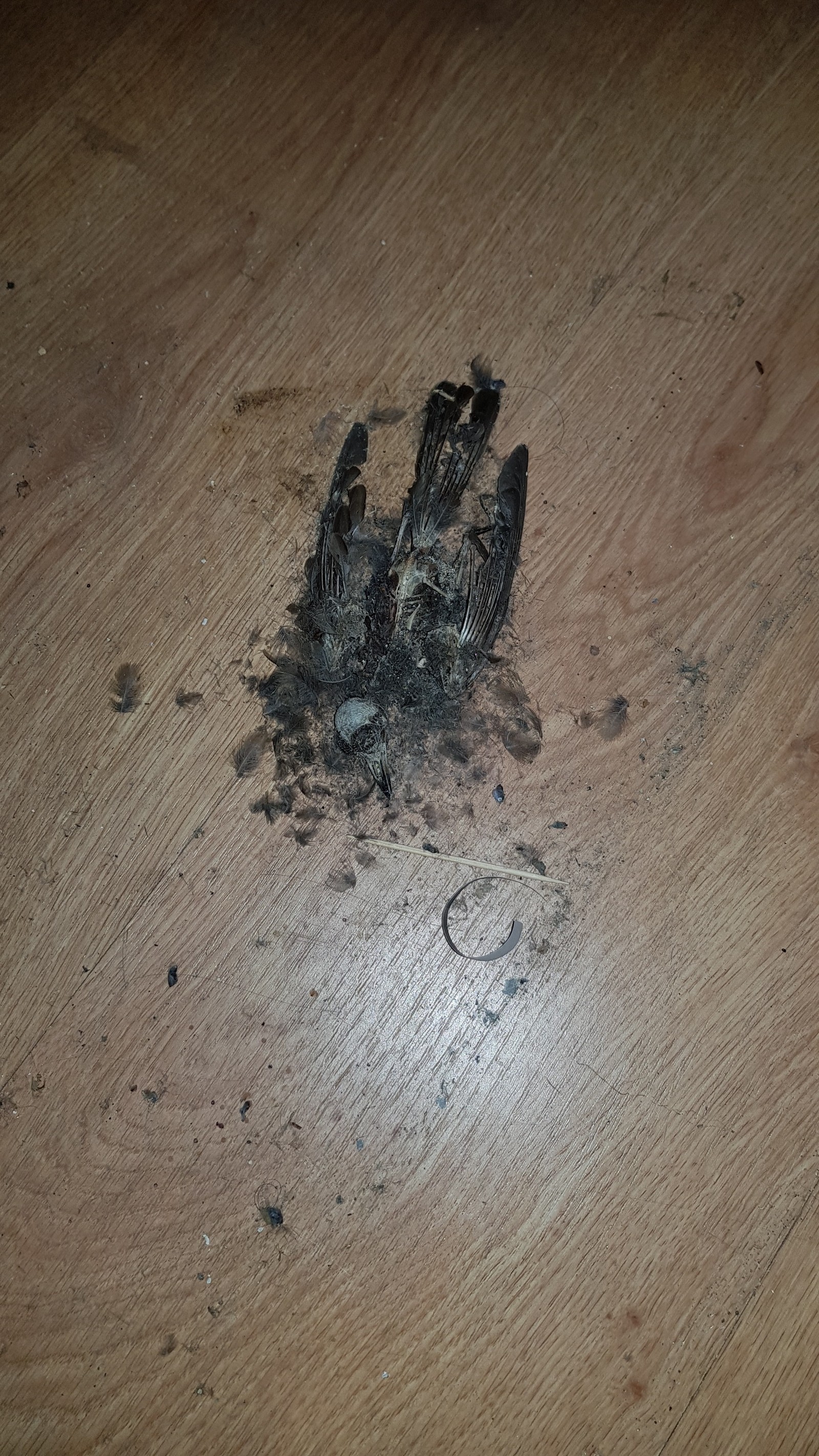 Ремонт | Пикабу