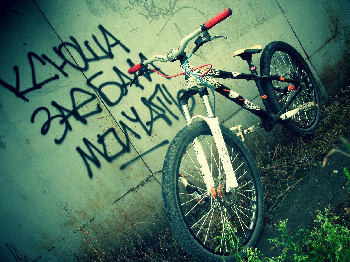 How I want summer again! - My, A bike, Sadness, Longpost