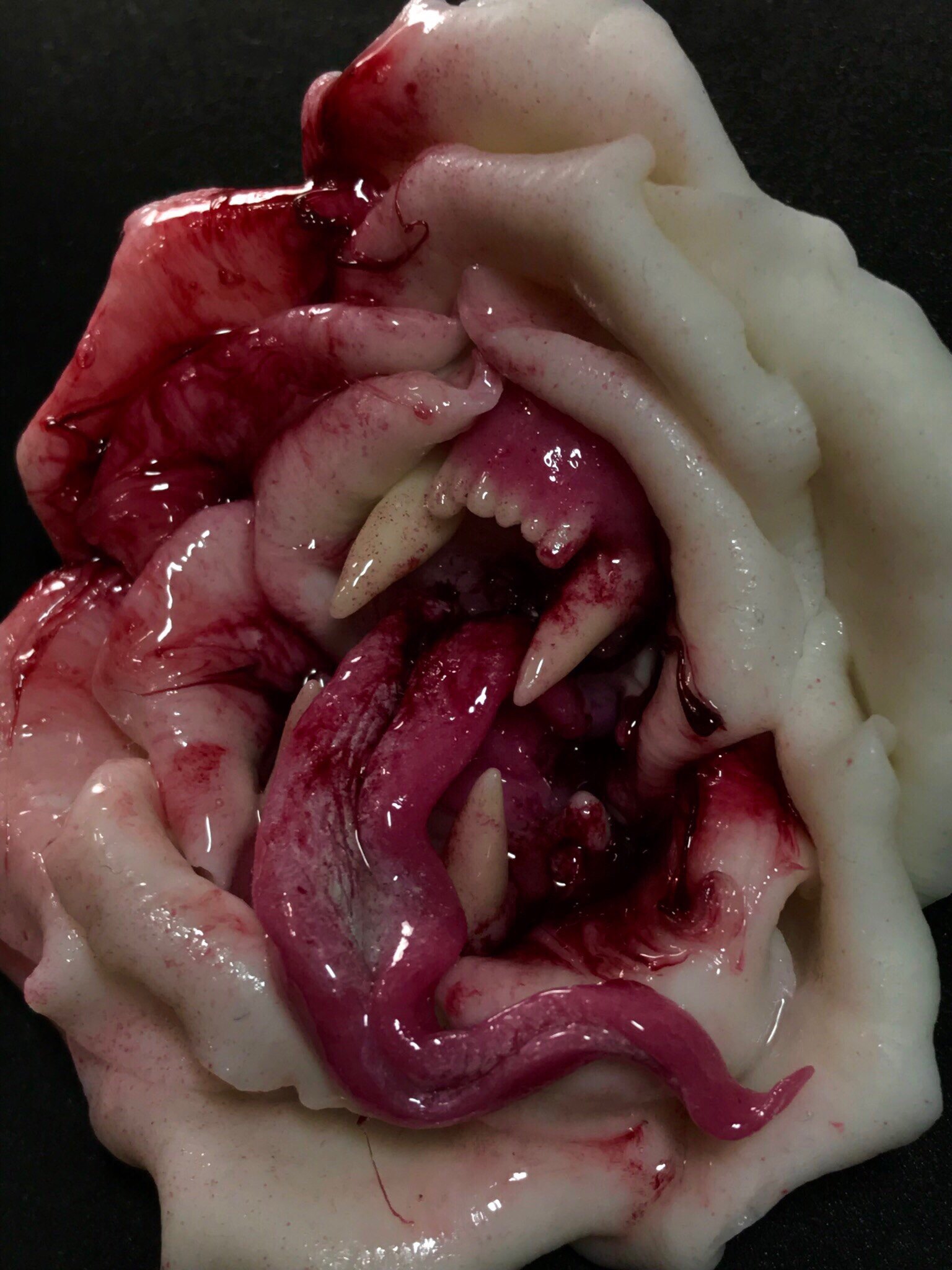 Roses. - My, Blood, Horror, the Rose, Polymer clay, Floristics, Needlework, Needlework without process, Longpost