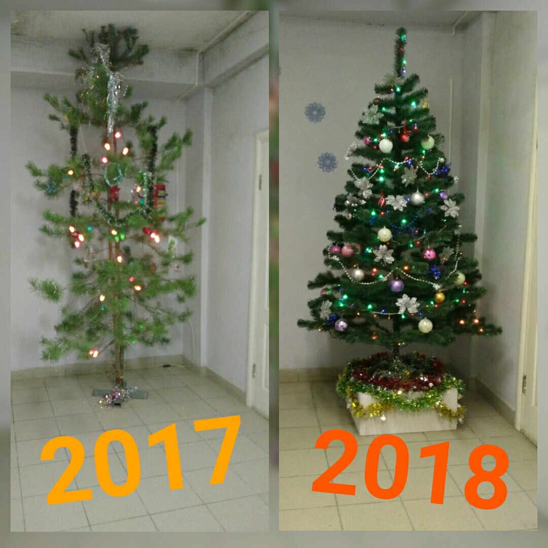 On the subject of trees. - Christmas trees, New Year, 2017, 2018