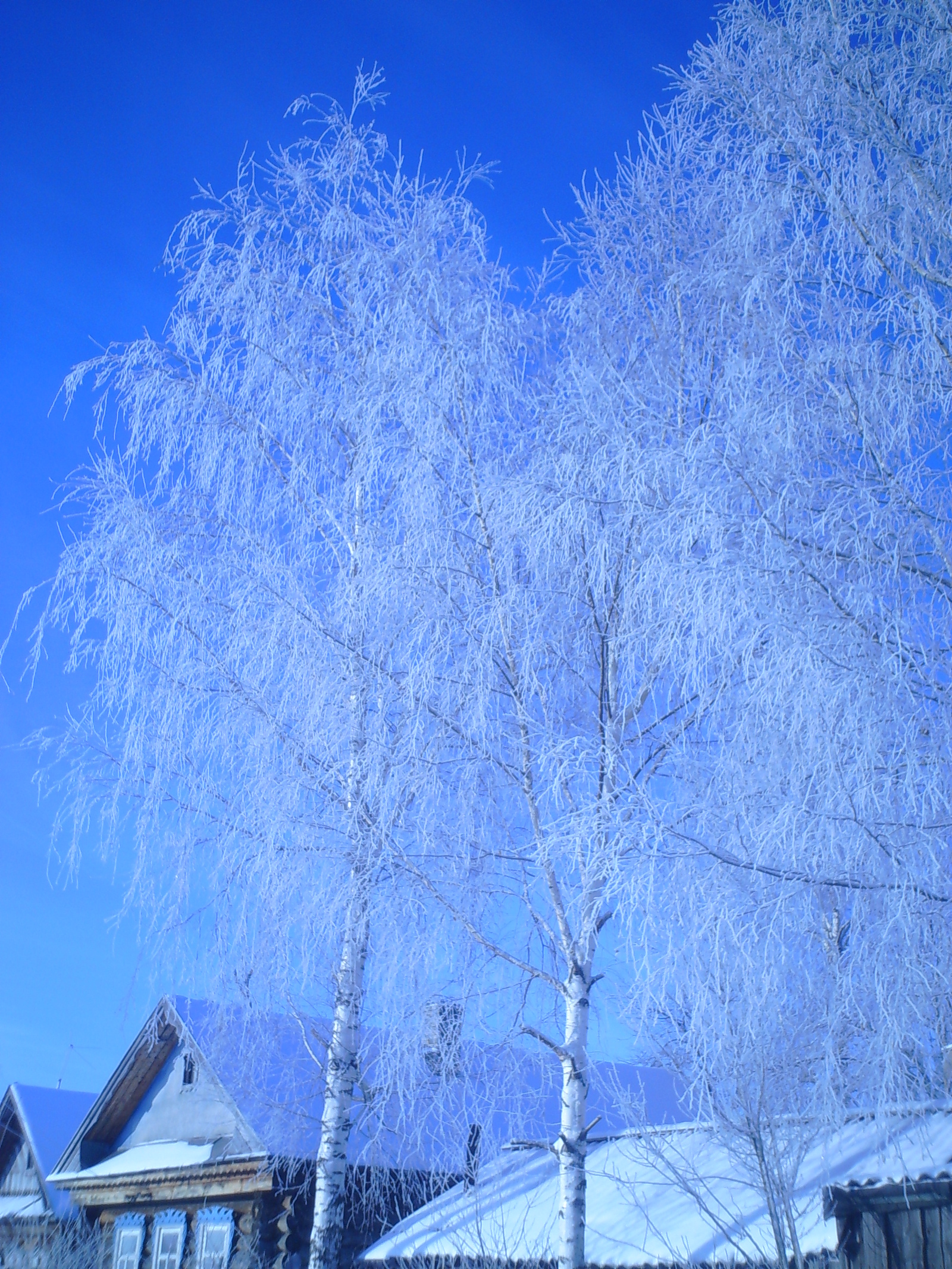 Winter, village... - My, Snow, Village, The photo