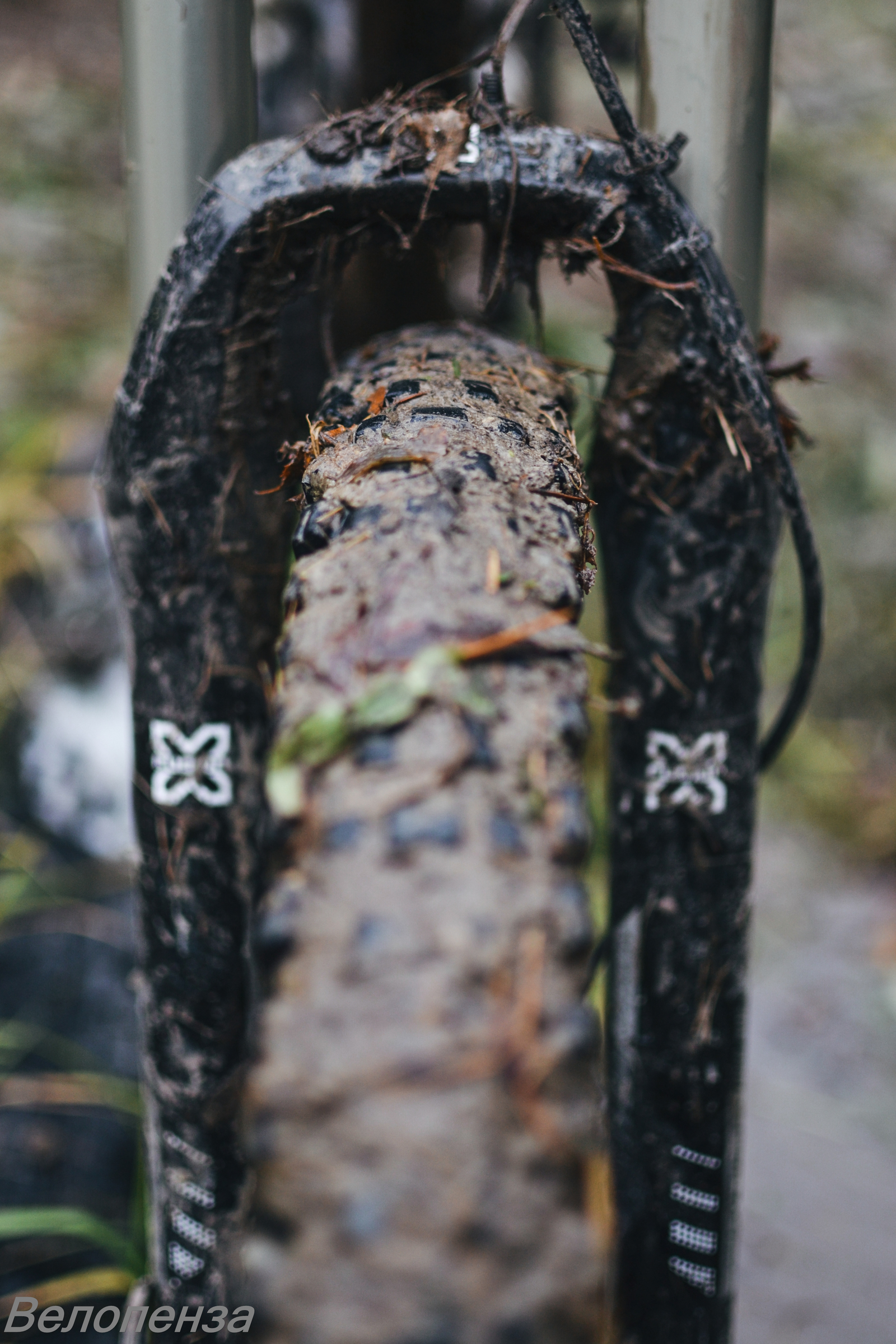 Surskoe mess 3 - My, Bike, Travel bike, Format, PVD, Bikepost, Enduro, Longpost