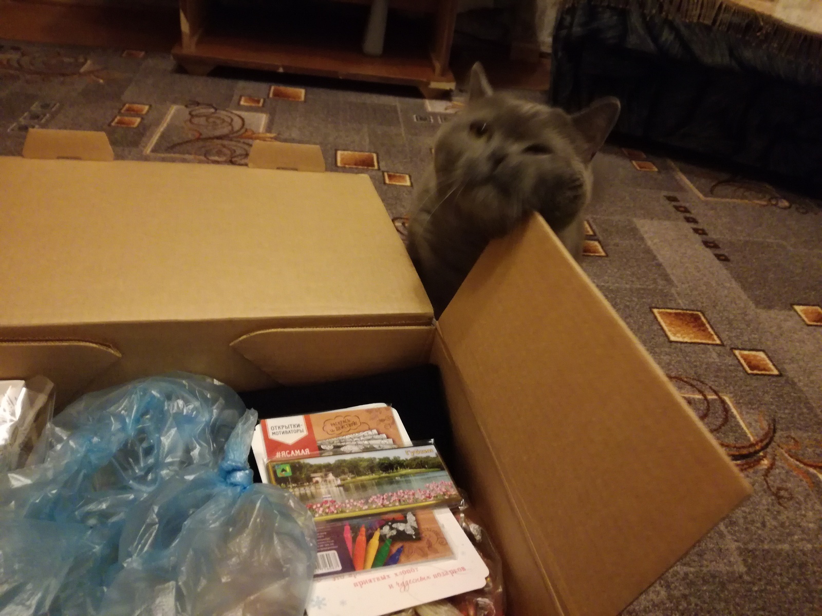 Gift exchange, parcel received!!!)) - My, Gift exchange, Presents, Longpost, Secret Santa, New Year, cat, Mainstream