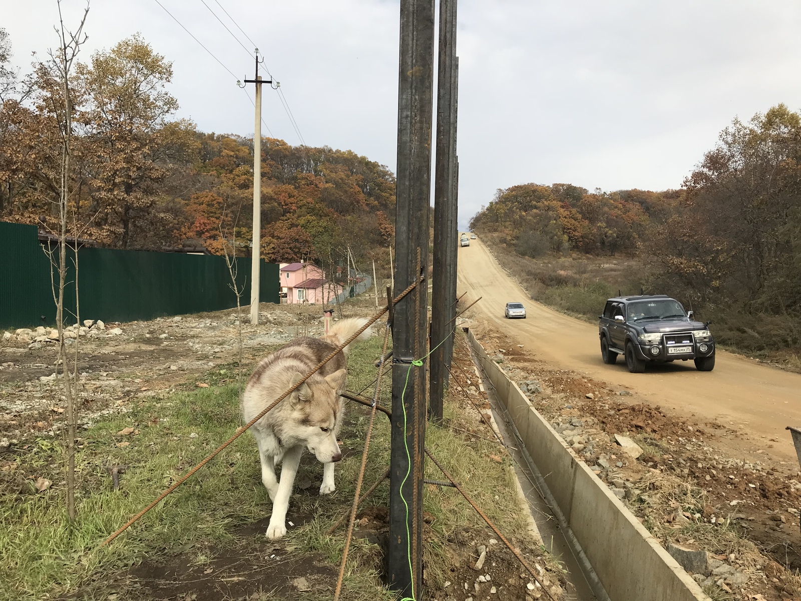 We work while relaxing. Or an industrial climber from Monday to Friday, the rest of the time - cho horrible - My, Building, Fence, Dog, Longpost