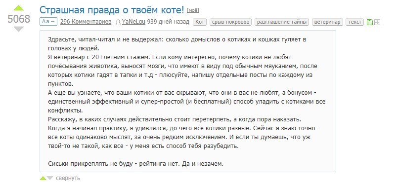 Набрал 1000+ подписчиков и исчез... - Кот, Обман, Может что-то случилось