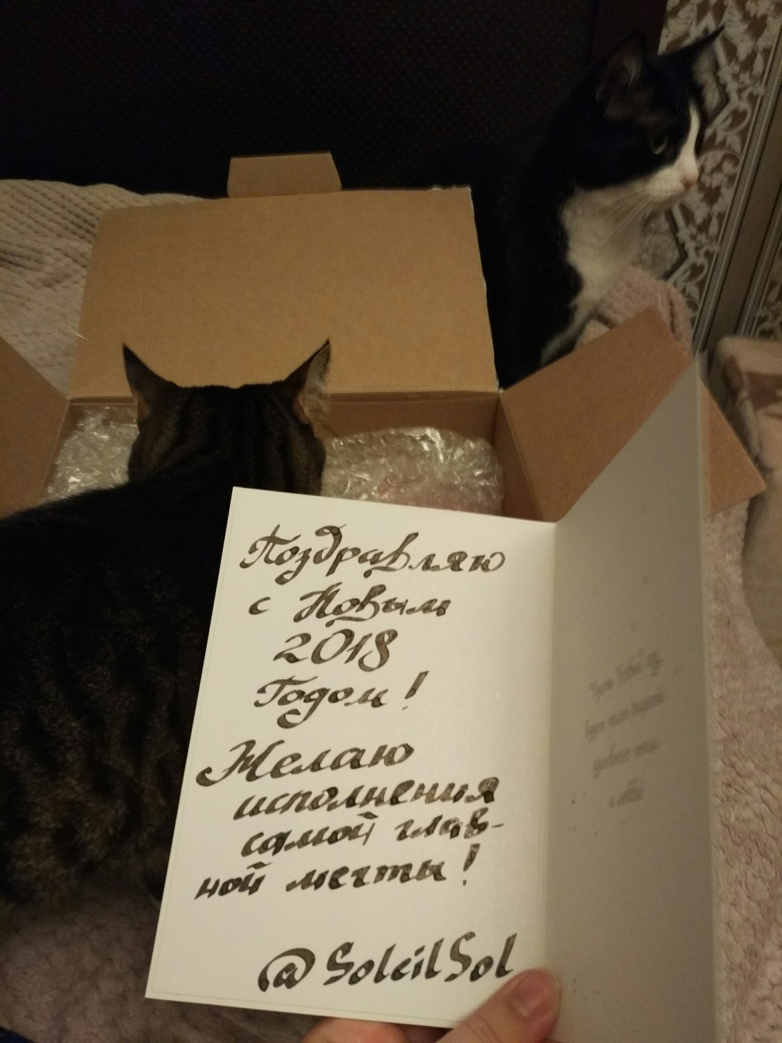 Omsk Santa is the best Santa! - My, Secret Santa, Gift exchange, New Year, Longpost, cat