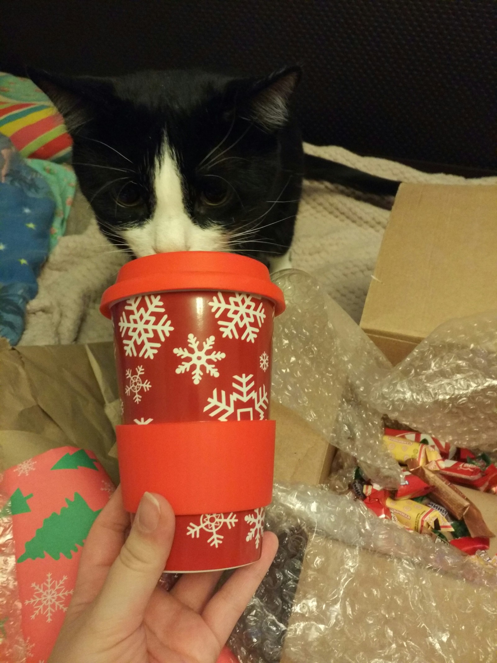 Omsk Santa is the best Santa! - My, Secret Santa, Gift exchange, New Year, Longpost, cat